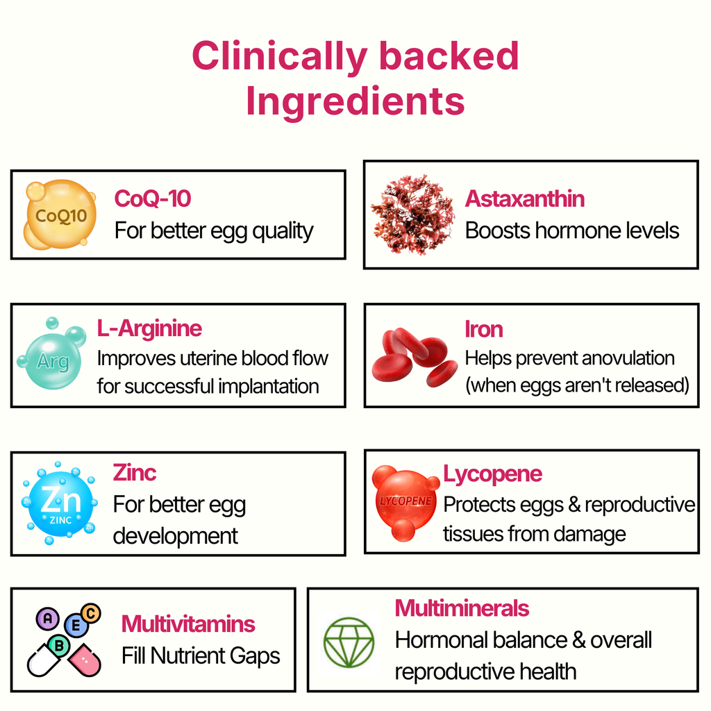 Concify - F | Female Fertility Support Supplement | Supports Egg Quality, Ovulation & Implantation for Natural Conception