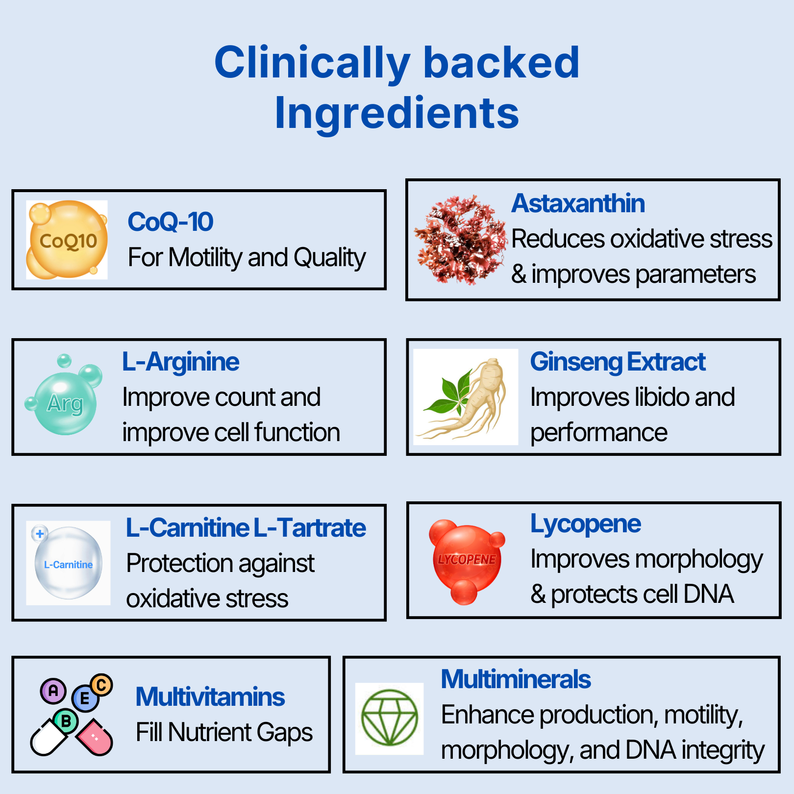 Concify-M | Male Fertility Support Supplement | Enhances Count, Motility & Overall health